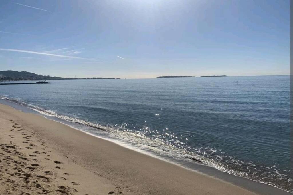 Appartement T2 Vue Panoramique C Cannes Eksteriør bilde